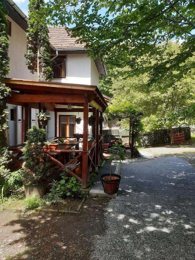 Vila Szoke Sovata Exteriör bild